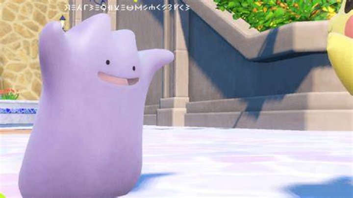Ditto and Zorua Hide in Plain Sight