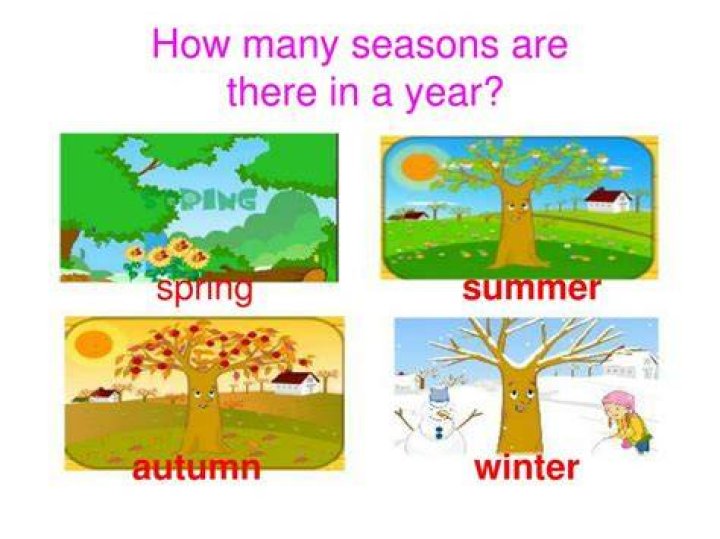 How Many Seasons Are There?