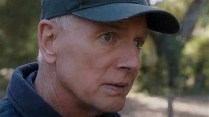 NCIS Actually Started As A Spin-Off For This Forgotten Show