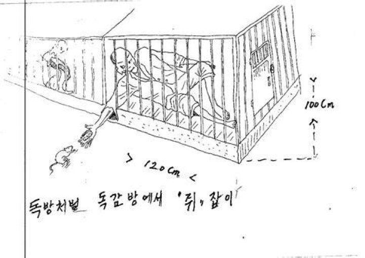 North Korea torture techniques revealed in shocking video Metro News
