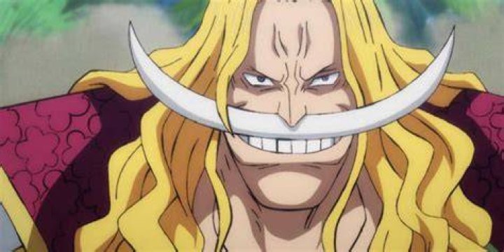 One Piece Whitebeard Young