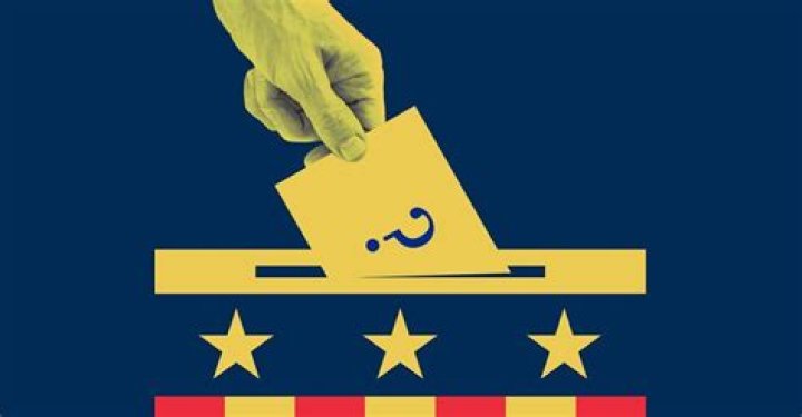 Opinion The Worst People Run for Office. It&rsquo;s Time for a Better Way
