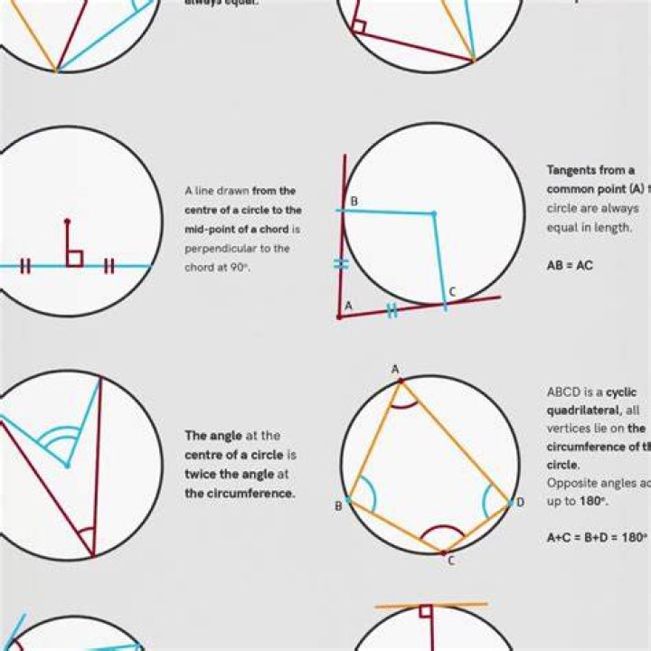 The Ending Of Circle Explained